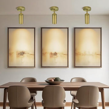 PIOUTNF Modern Ceiling Spotlight