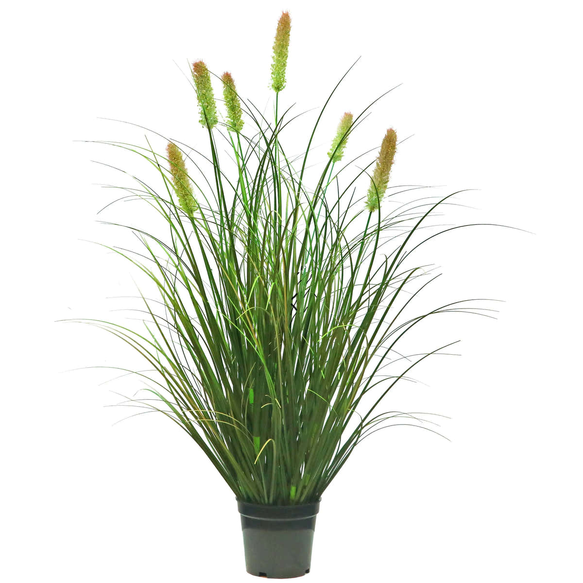 Artificial 6-Head Short Pine Grass with Curved Onion Grass Bonsai 30"H