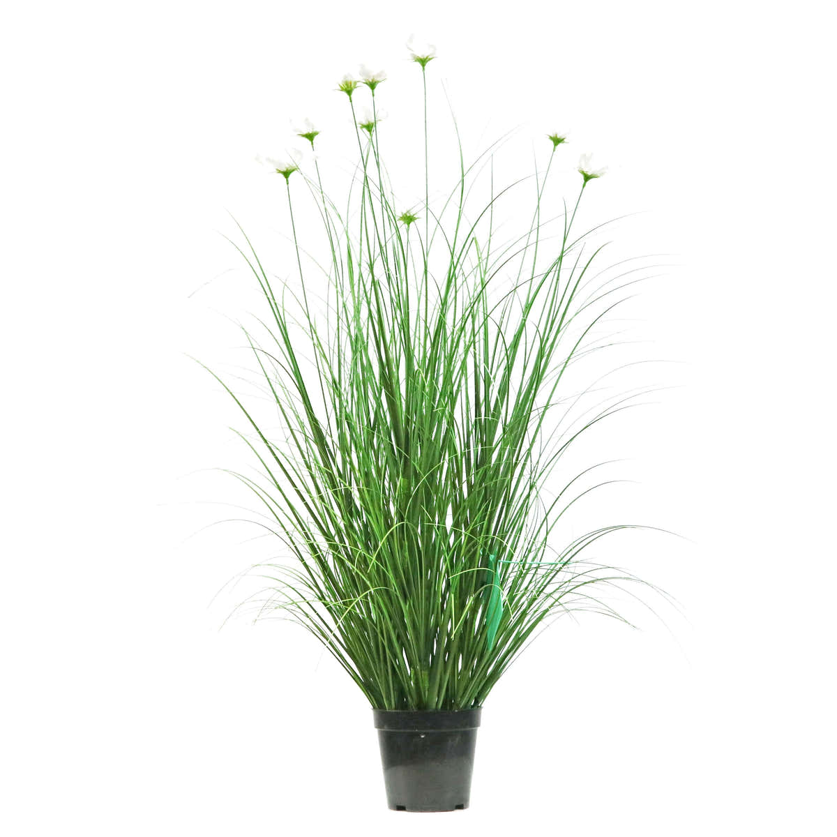 Artificial 9-Head Cosmos with Curved Onion Grass Bonsai 43"H