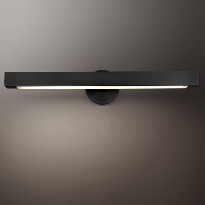 PIOUTNF Black LED Linear Picture Light