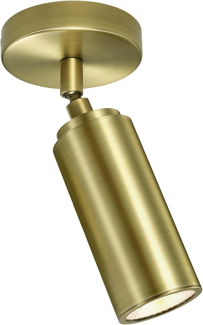 PIOUTNF Modern Ceiling Spotlight
