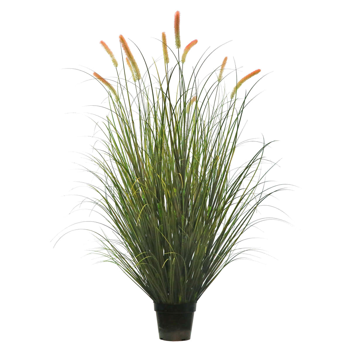 Artificial 10-Head Long Cat Tail with Curved Onion Grass Bonsai 67"H
