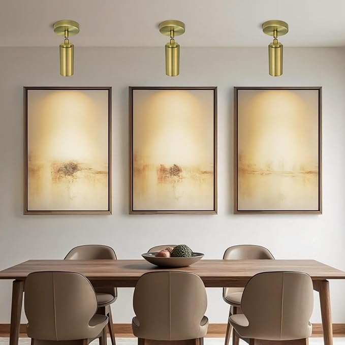 PIOUTNF Modern Ceiling Spotlight