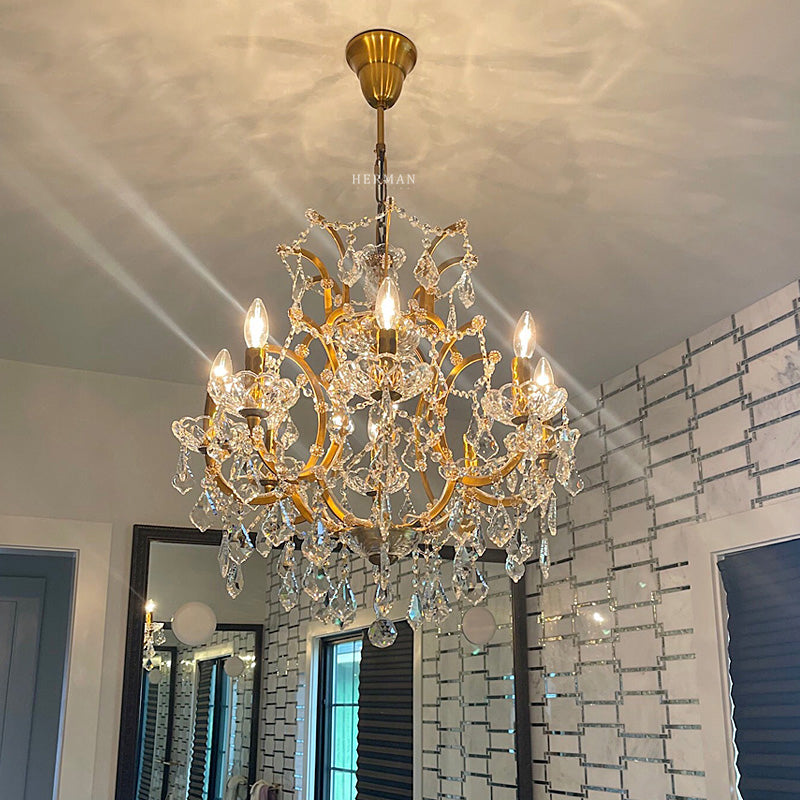 Rocaille Iron & Crystal Chandelier