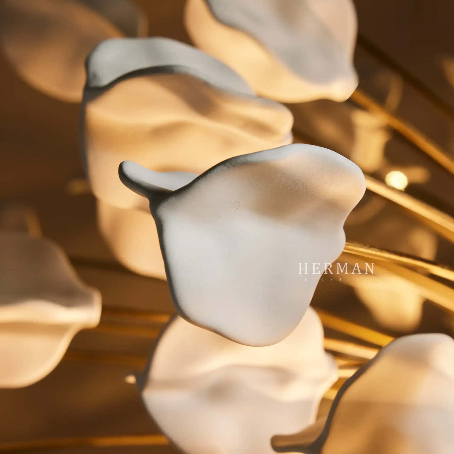 Lunaria Chandelier 41"