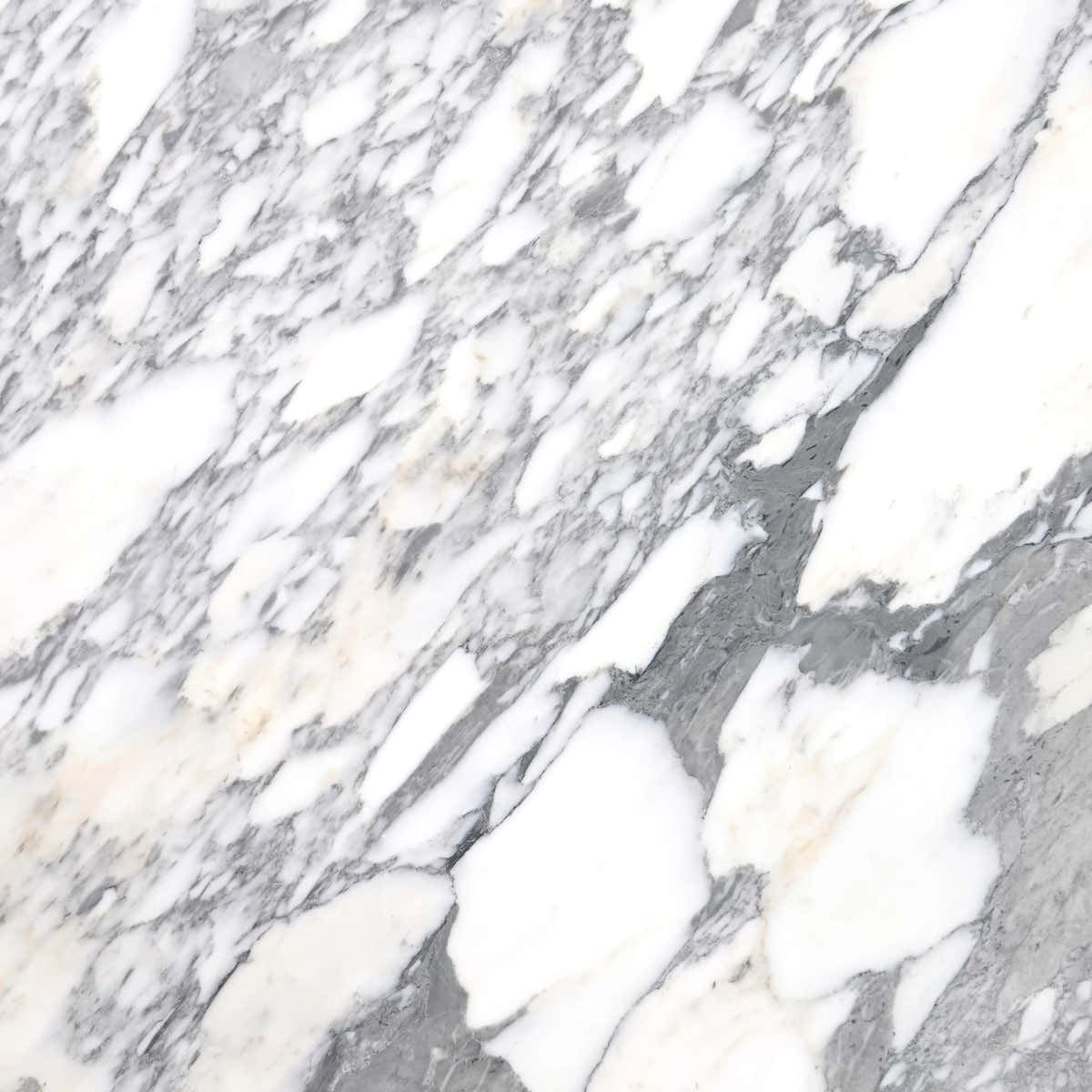 Arabescato White Marble Slab