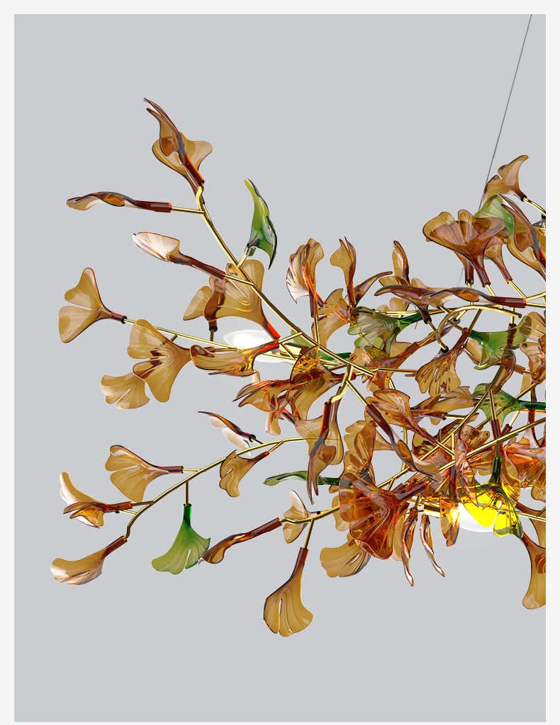 Ginkgo - Amber B