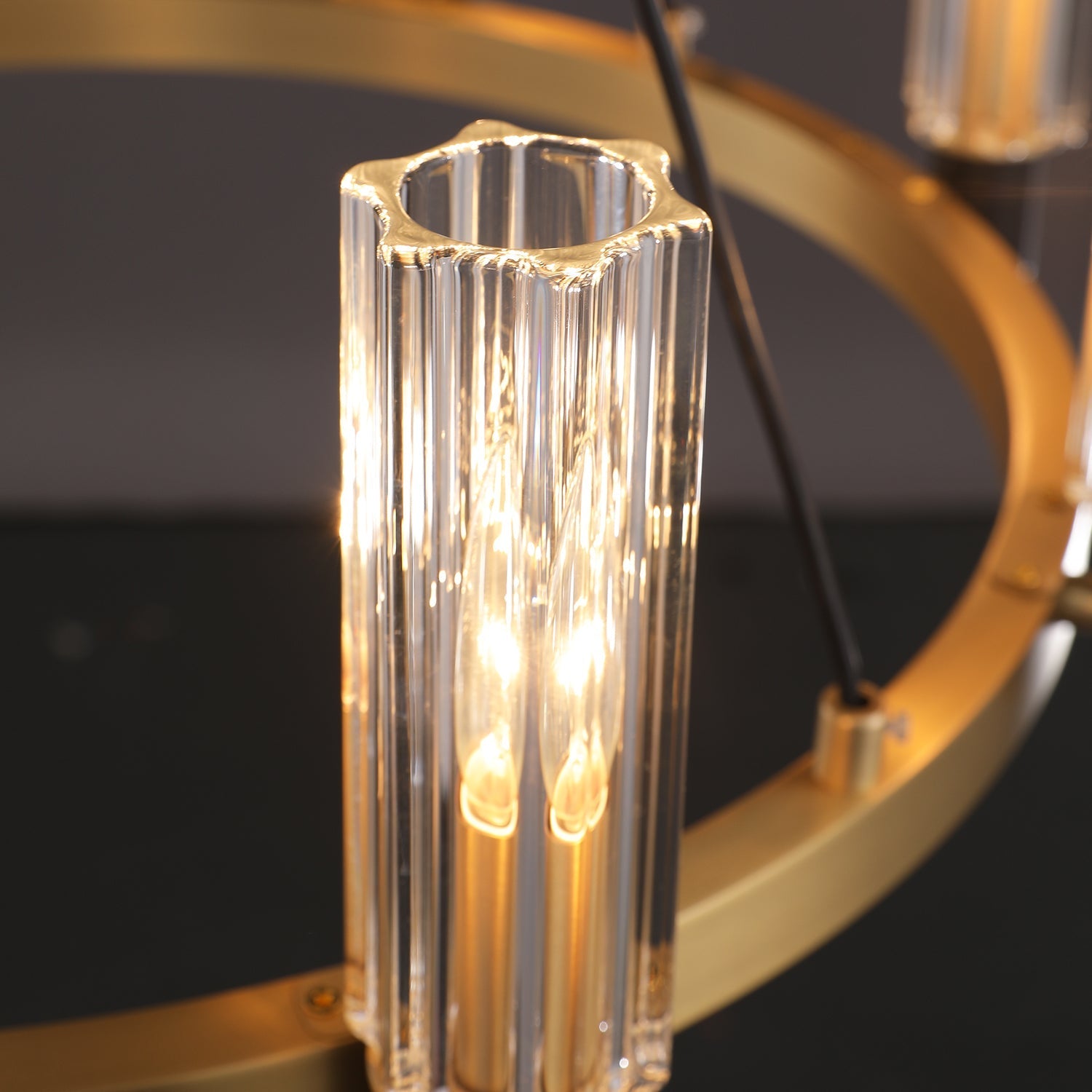 Harlin Ring Chandelier