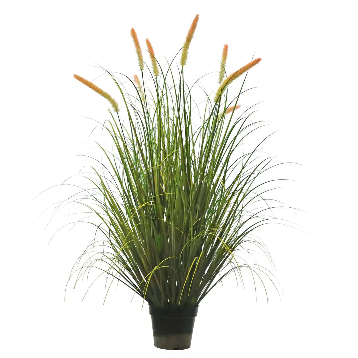 Artificial 8-Head Long Cat Tail with Curved Onion Grass Bonsai 55"H