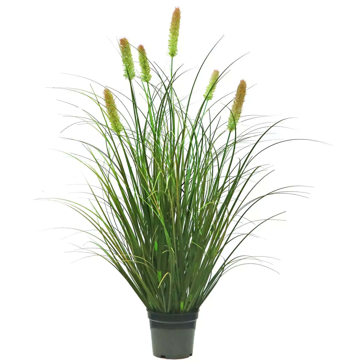 Artificial 6-Head Short Pine Grass with Curved Onion Grass Bonsai 30"H