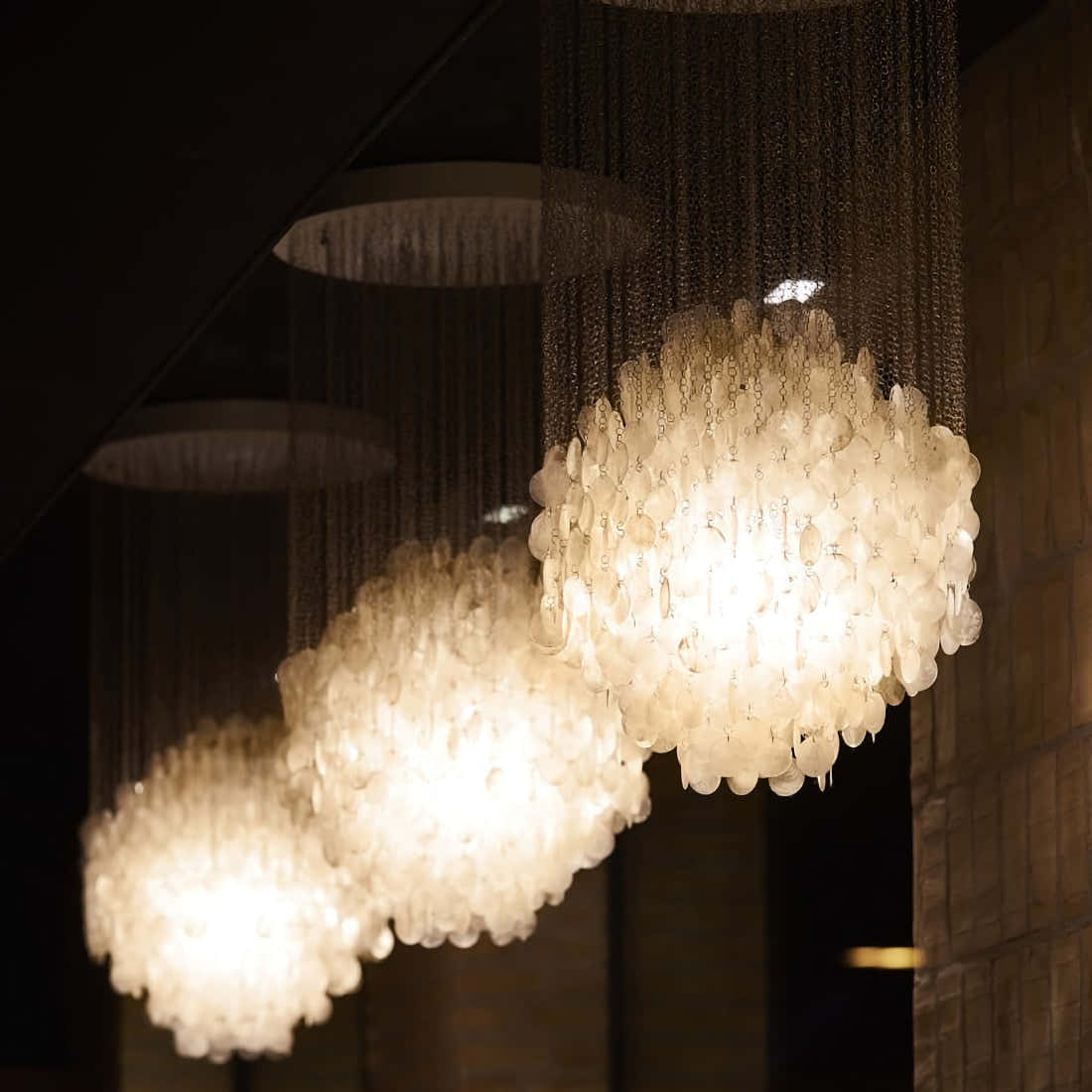 Shell Chandelier