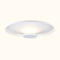 Top Ceiling Light