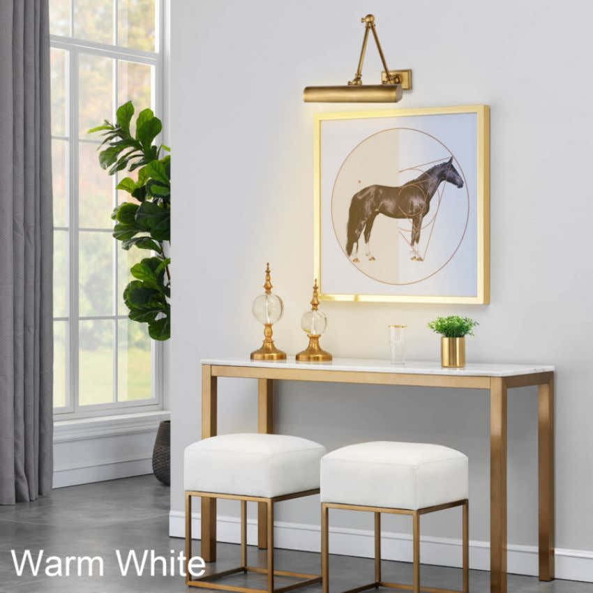 Double Plug-In Hardwired Picture Light